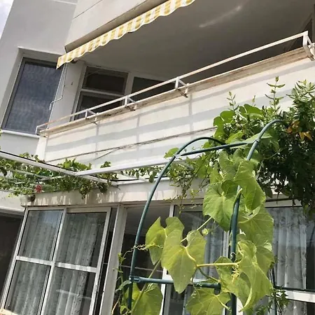 вангелов 아파트